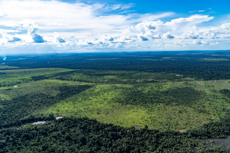 Municípios paraenses apresentam redução de 66% nos alertas de desmatamento