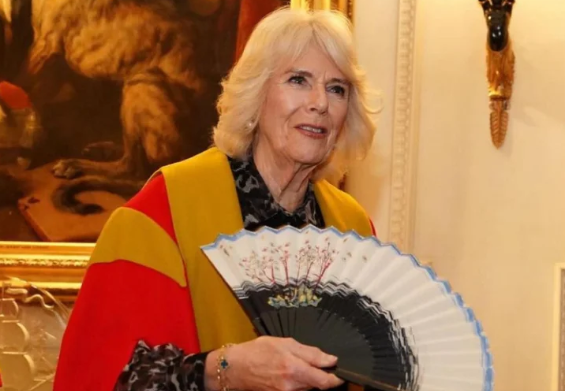 Após diagnóstico de câncer, Rainha Camilla revela como está Kate Middleton