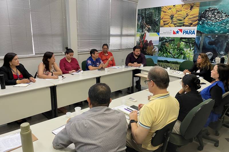 Instituições buscam boas práticas na manipulação do açaí e incentivam ações de combate à Doença de Chagas