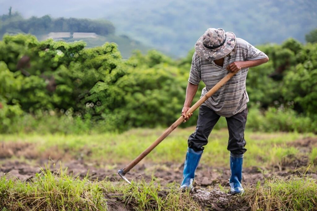 Equatorial Pará orienta sobre cuidados com a rede elétrica na zona rural